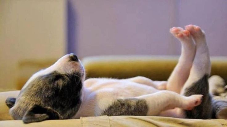 7 Mattress Types for Your Sleepy Head
