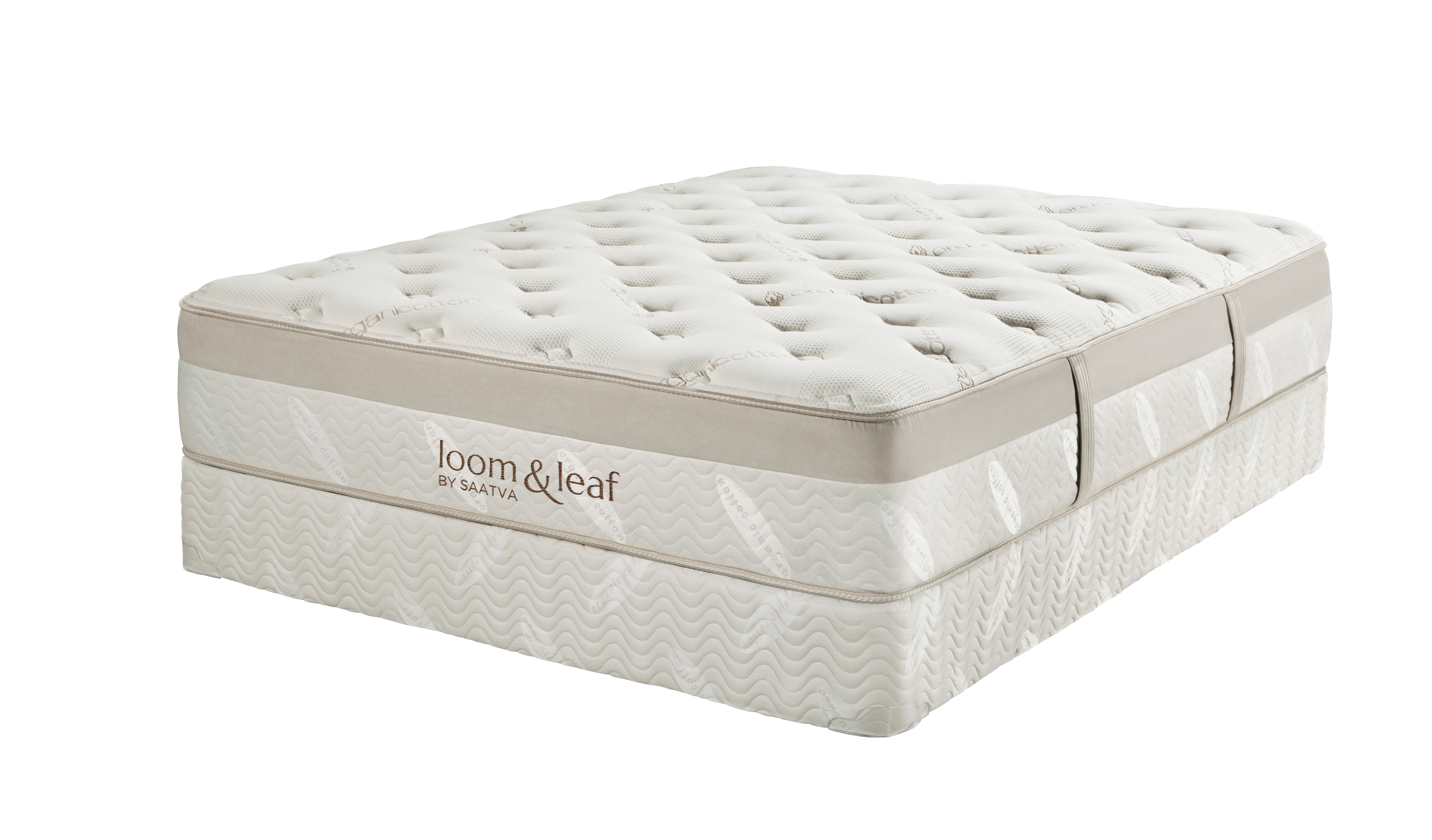 Saatva Vs Loom and Leaf Mattress Review