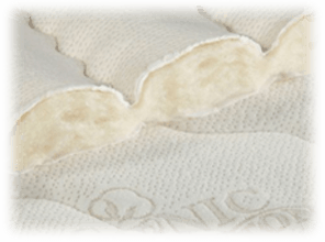plushbeds mattress reviews, plushbeds botanical bliss mattress review, plushbeds mattress reviews