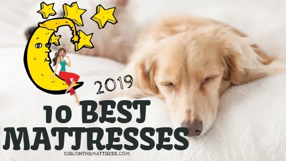Which Mattress Wins 2026? Tempur-Pedic vs Nolah vs Avocado — The Shocking Truth You Can’t Ignore